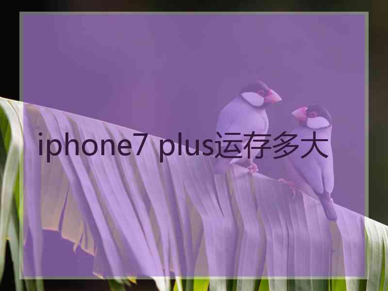 iphone7 plus运存多大