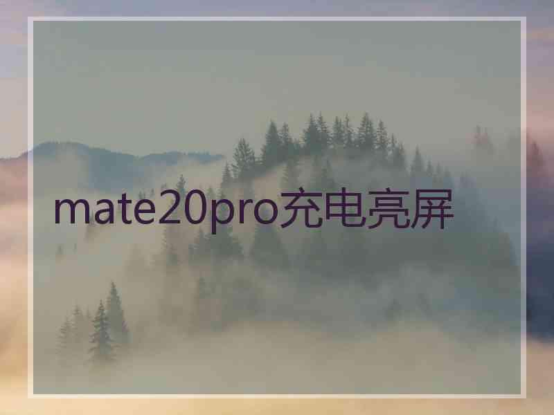 mate20pro充电亮屏