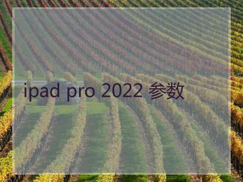 ipad pro 2022 参数