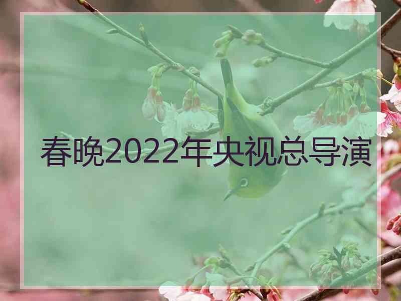 春晚2022年央视总导演