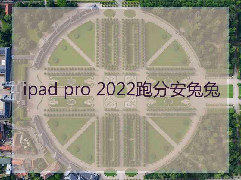 ipad pro 2022跑分安兔兔