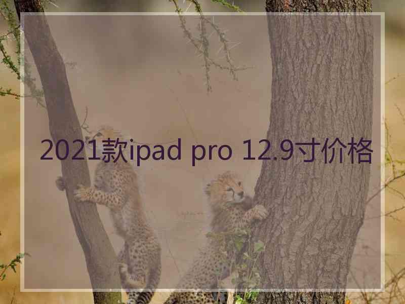 2021款ipad pro 12.9寸价格