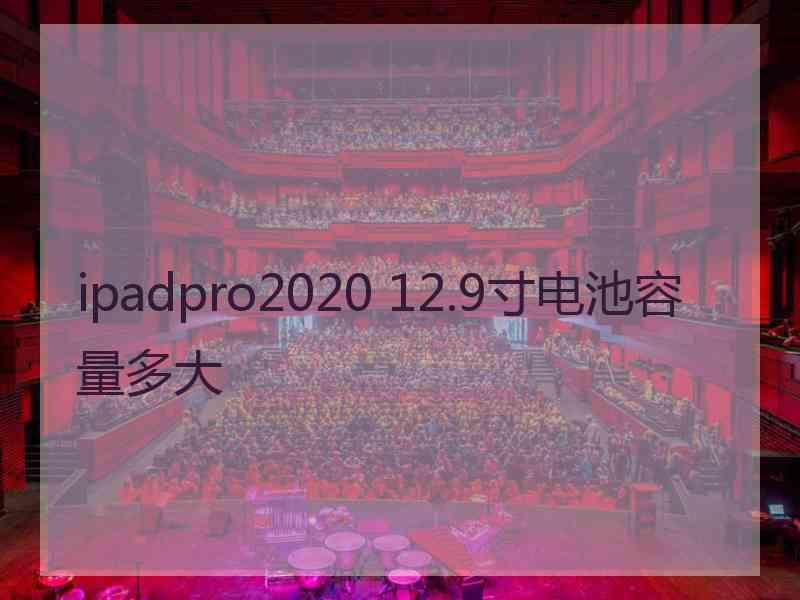 ipadpro2020 12.9寸电池容量多大