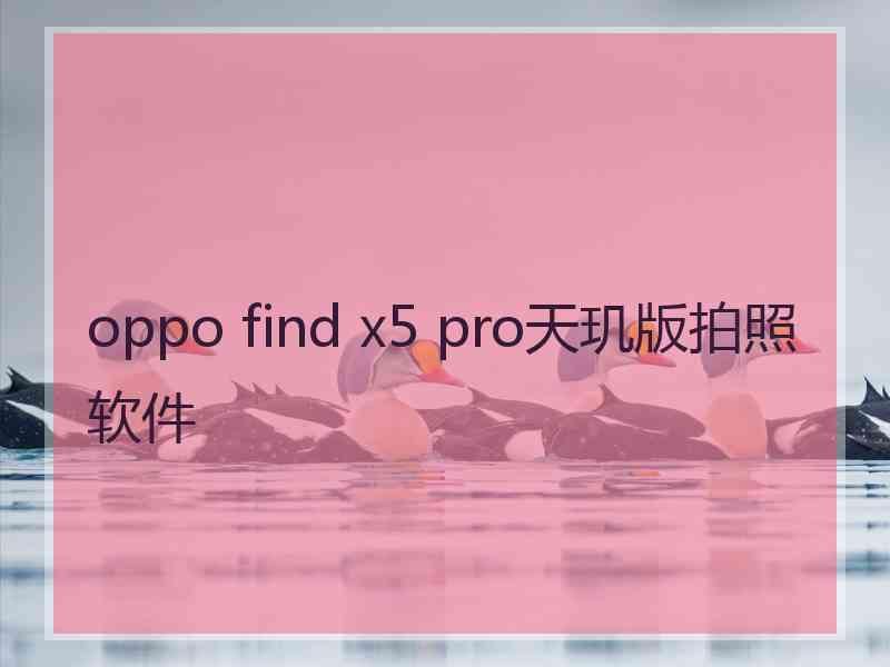 oppo find x5 pro天玑版拍照软件