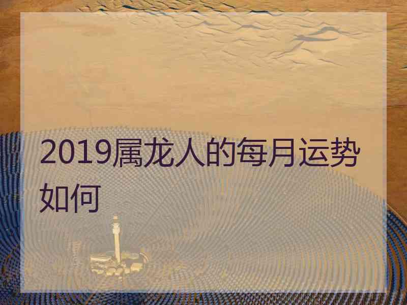 2019属龙人的每月运势如何