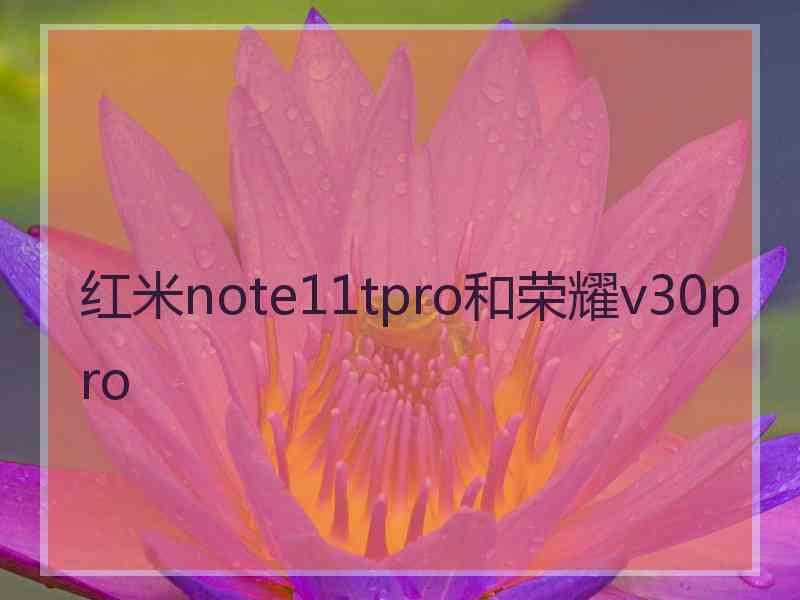 红米note11tpro和荣耀v30pro