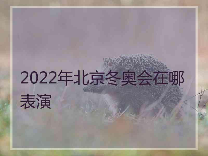 2022年北京冬奥会在哪表演