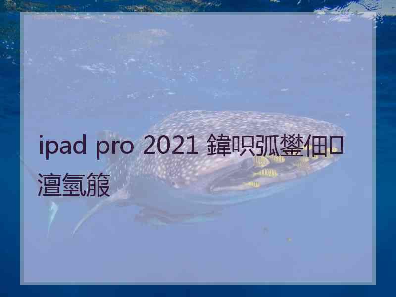 ipad pro 2021 鍏呮弧鐢佃澶氫箙