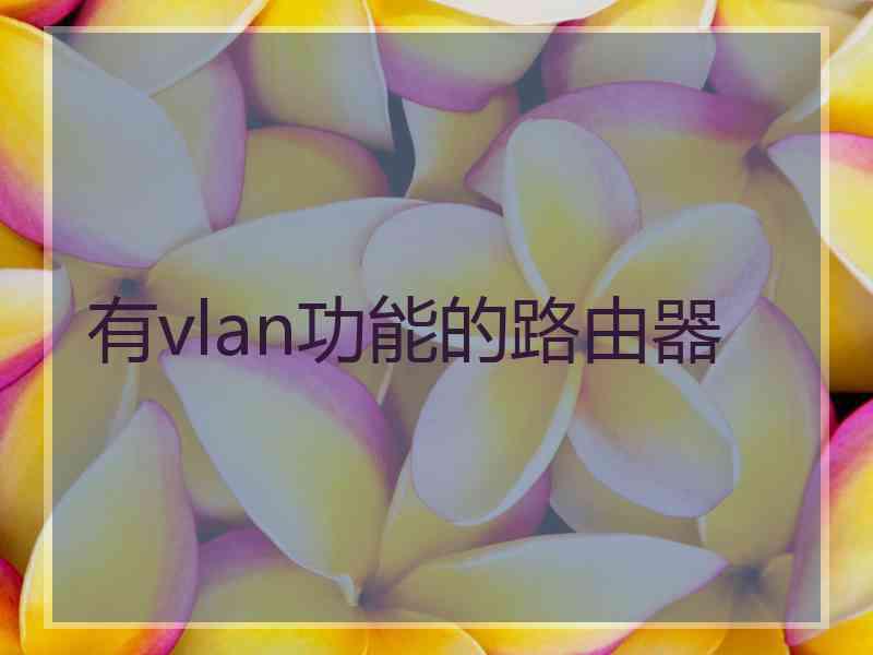 有vlan功能的路由器