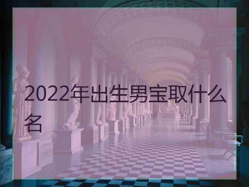 2022年出生男宝取什么名