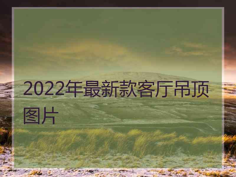 2022年最新款客厅吊顶图片