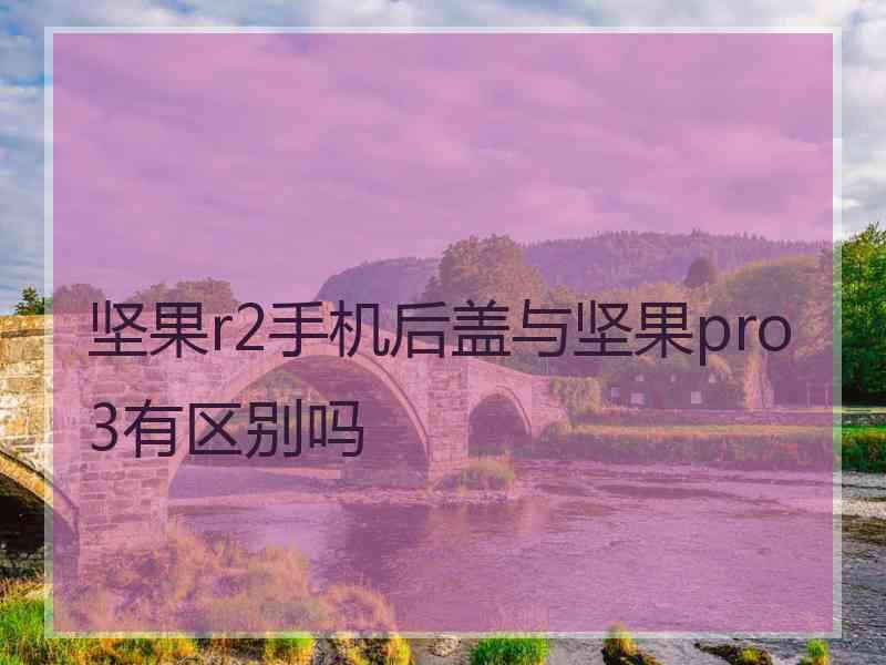 坚果r2手机后盖与坚果pro3有区别吗