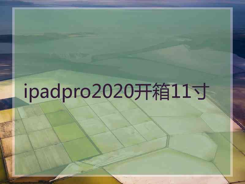 ipadpro2020开箱11寸