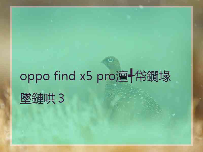 oppo find x5 pro澶╃帒鐗堟墜鏈哄３