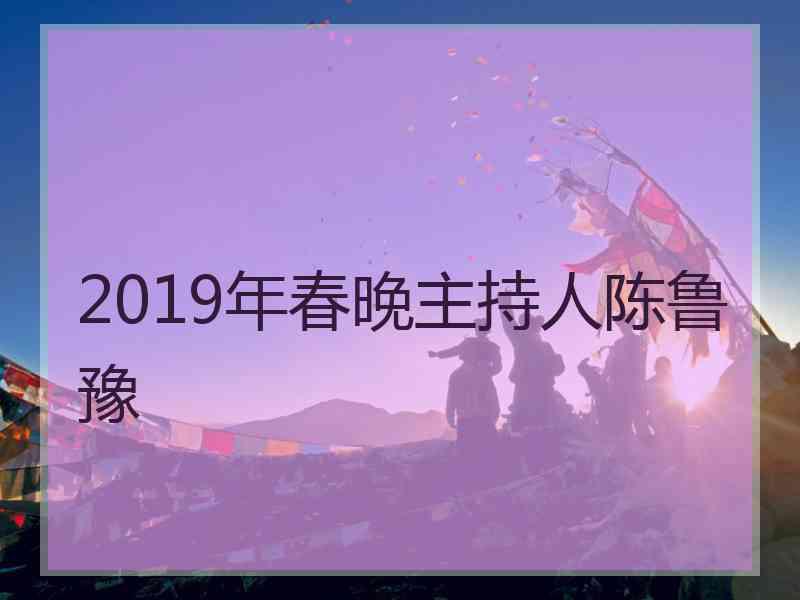 2019年春晚主持人陈鲁豫