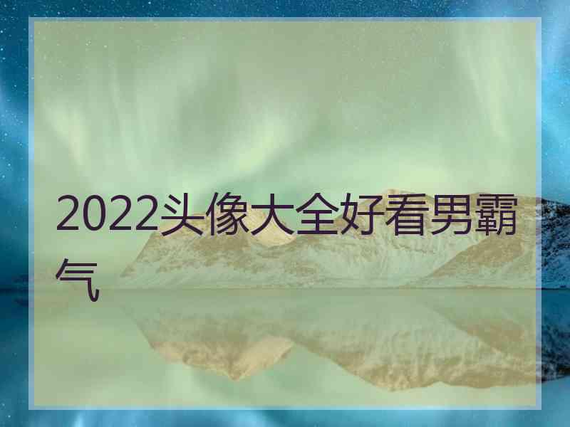 2022头像大全好看男霸气