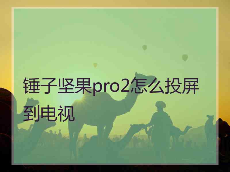 锤子坚果pro2怎么投屏到电视