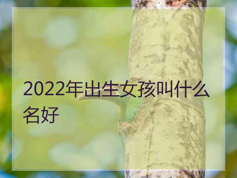 2022年出生女孩叫什么名好