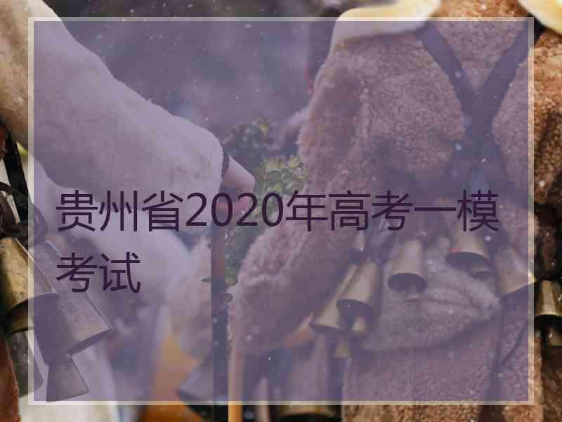 贵州省2020年高考一模考试