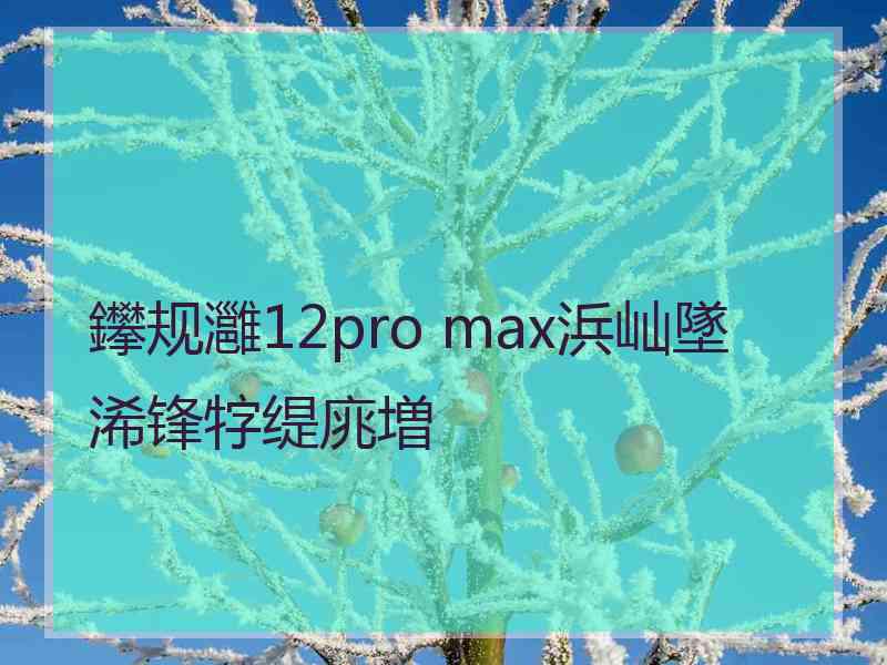 鑻规灉12pro max浜屾墜浠锋牸缇庣増