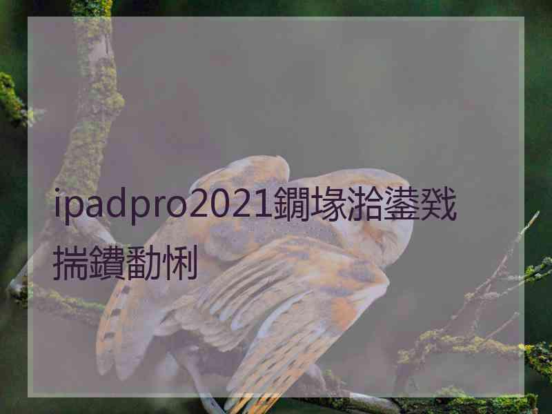 ipadpro2021鐗堟湁鍙戣揣鐨勫悧