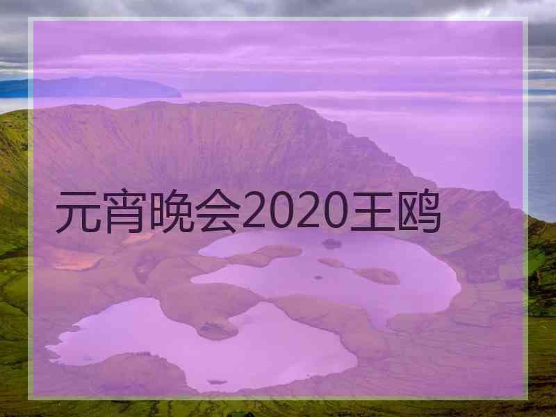 元宵晚会2020王鸥