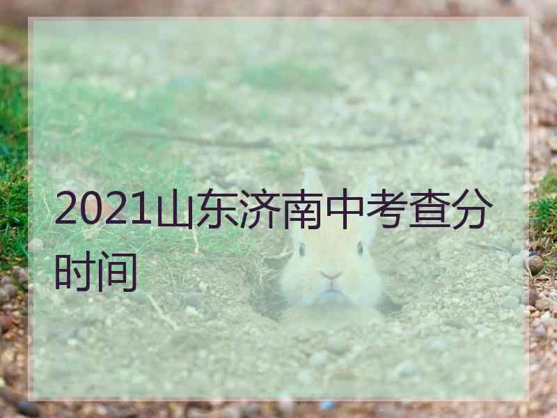 2021山东济南中考查分时间