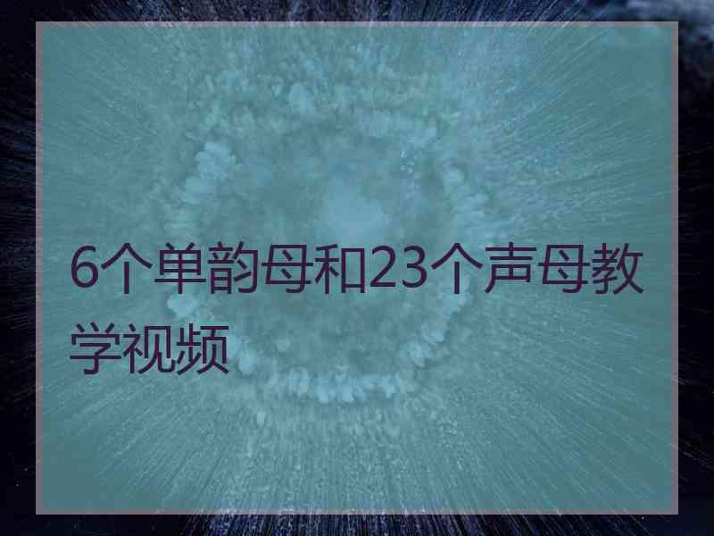 6个单韵母和23个声母教学视频