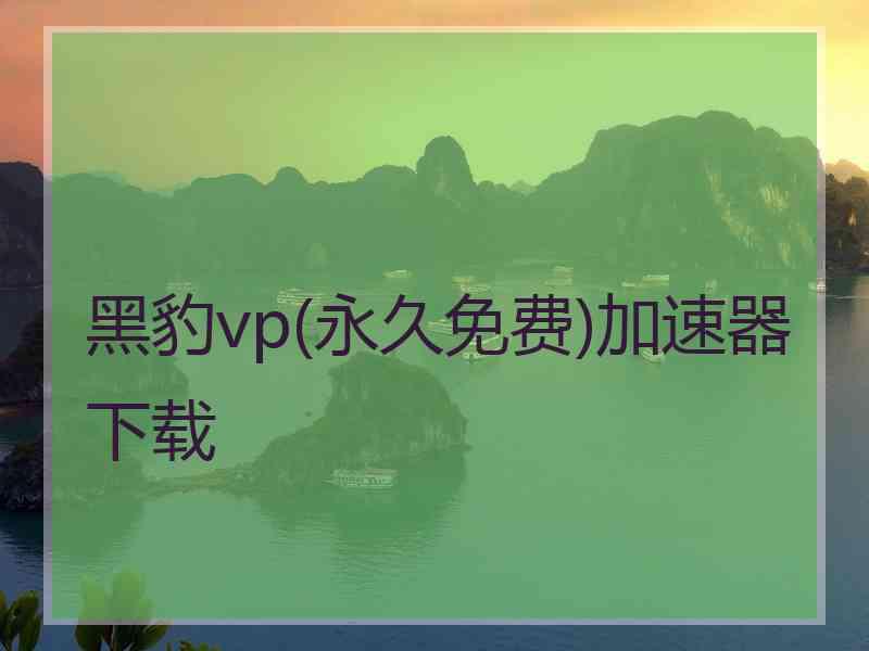 黑豹vp(永久免费)加速器下载