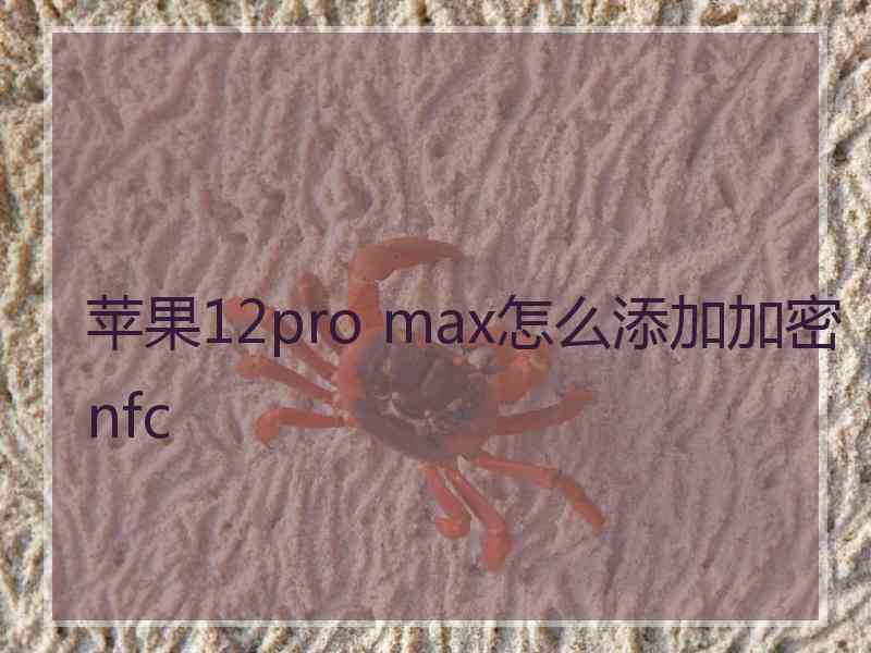 苹果12pro max怎么添加加密nfc