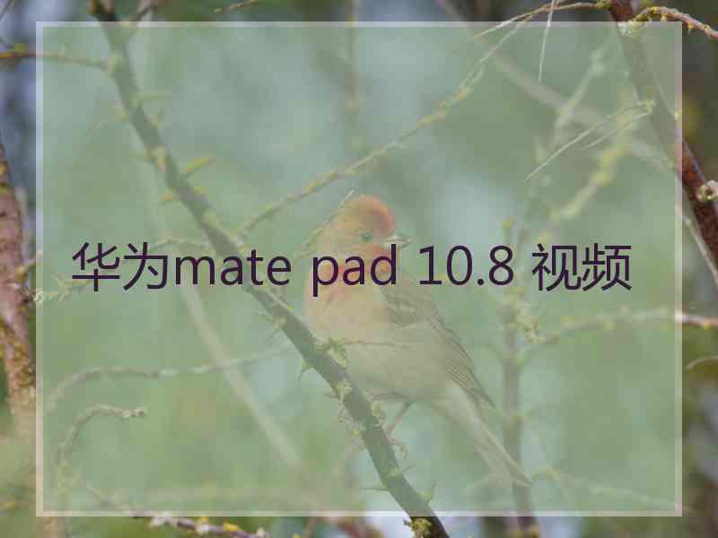 华为mate pad 10.8 视频