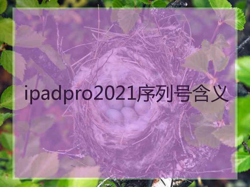 ipadpro2021序列号含义