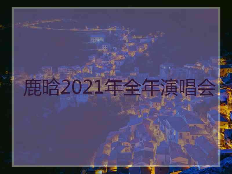 鹿晗2021年全年演唱会