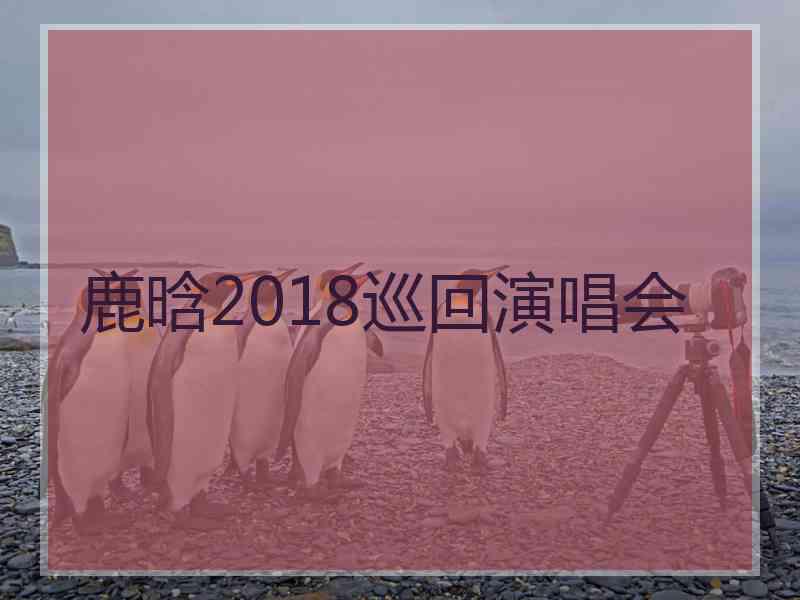 鹿晗2018巡回演唱会