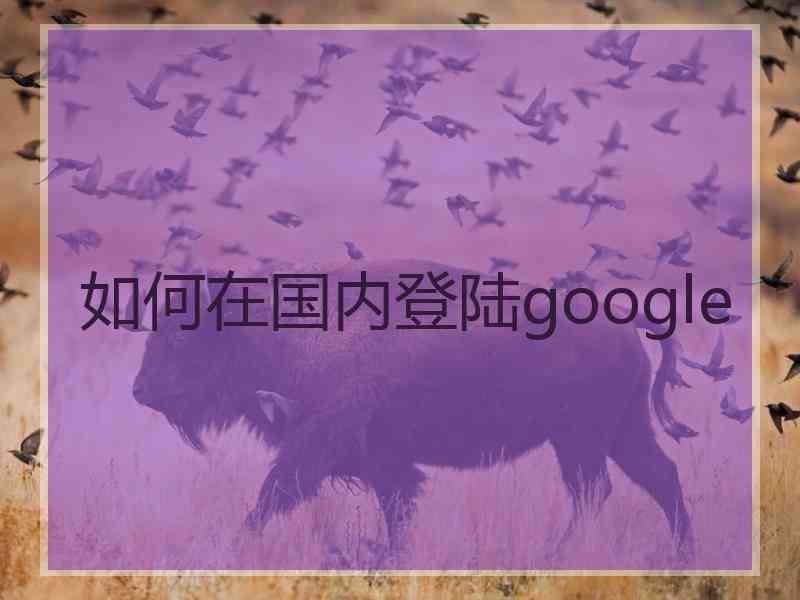 如何在国内登陆google