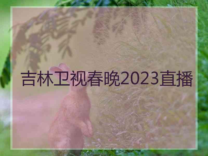 吉林卫视春晚2023直播