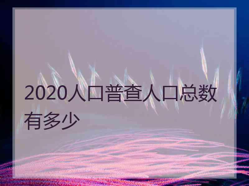 2020人口普查人口总数有多少