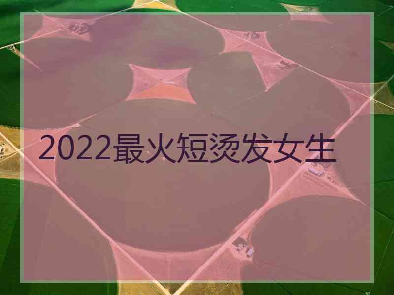 2022最火短烫发女生