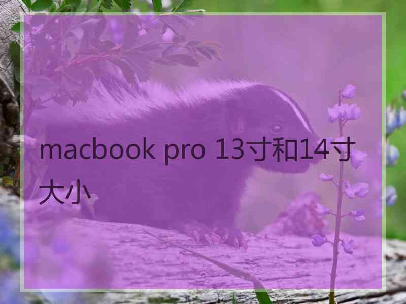 macbook pro 13寸和14寸大小