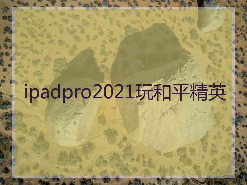 ipadpro2021玩和平精英