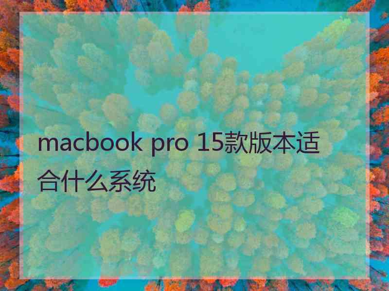 macbook pro 15款版本适合什么系统