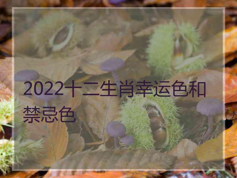 2022十二生肖幸运色和禁忌色