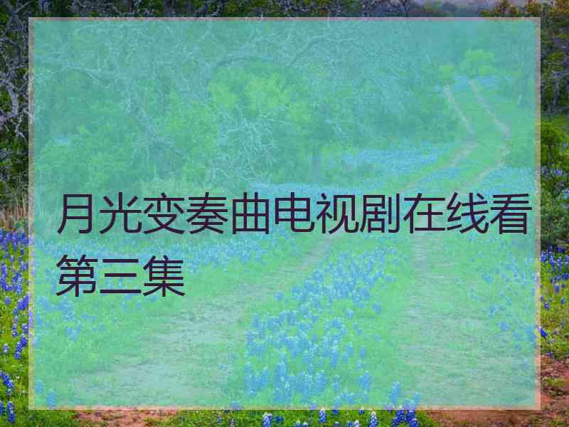 月光变奏曲电视剧在线看第三集