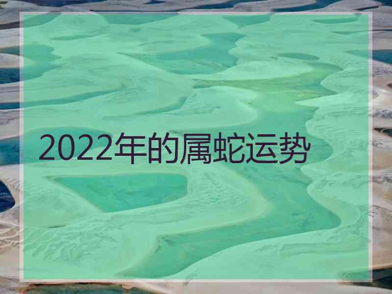 2022年的属蛇运势