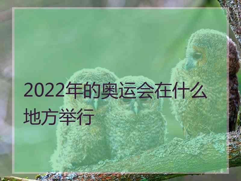 2022年的奥运会在什么地方举行