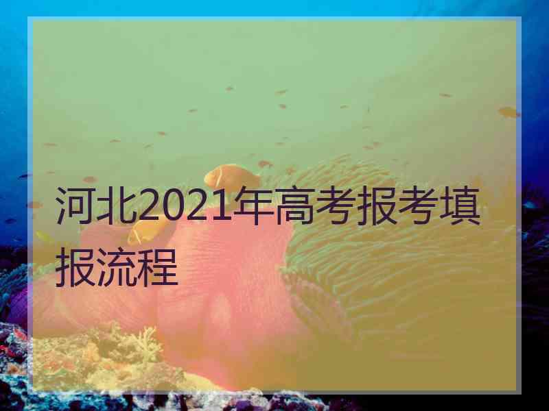 河北2021年高考报考填报流程