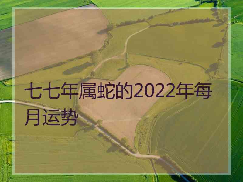 七七年属蛇的2022年每月运势