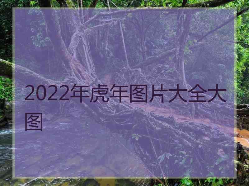 2022年虎年图片大全大图