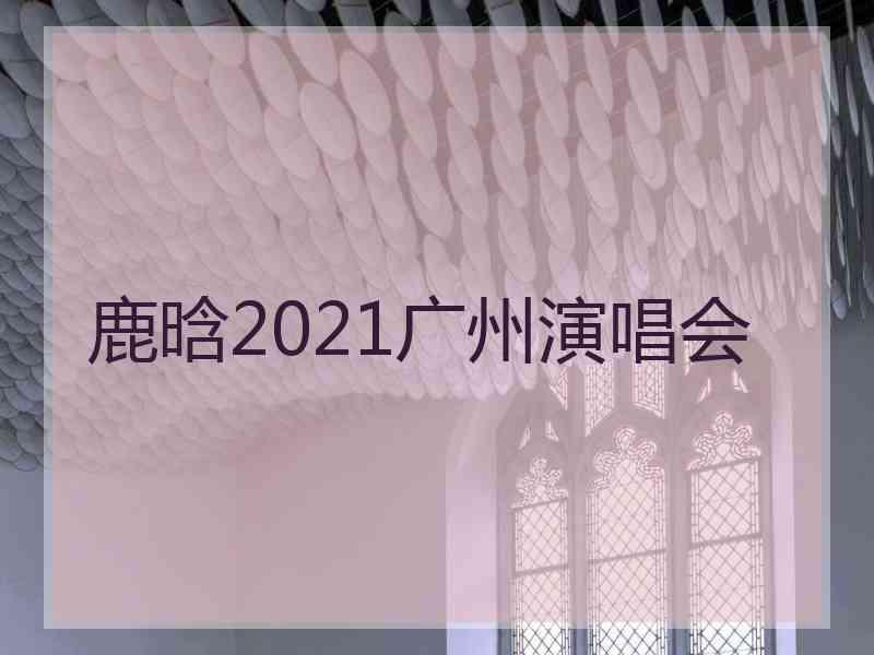 鹿晗2021广州演唱会