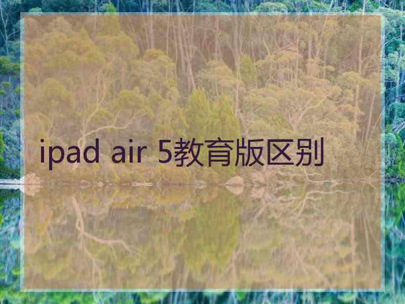 ipad air 5教育版区别